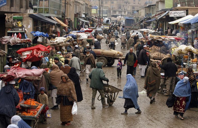 Economic Models of Disability