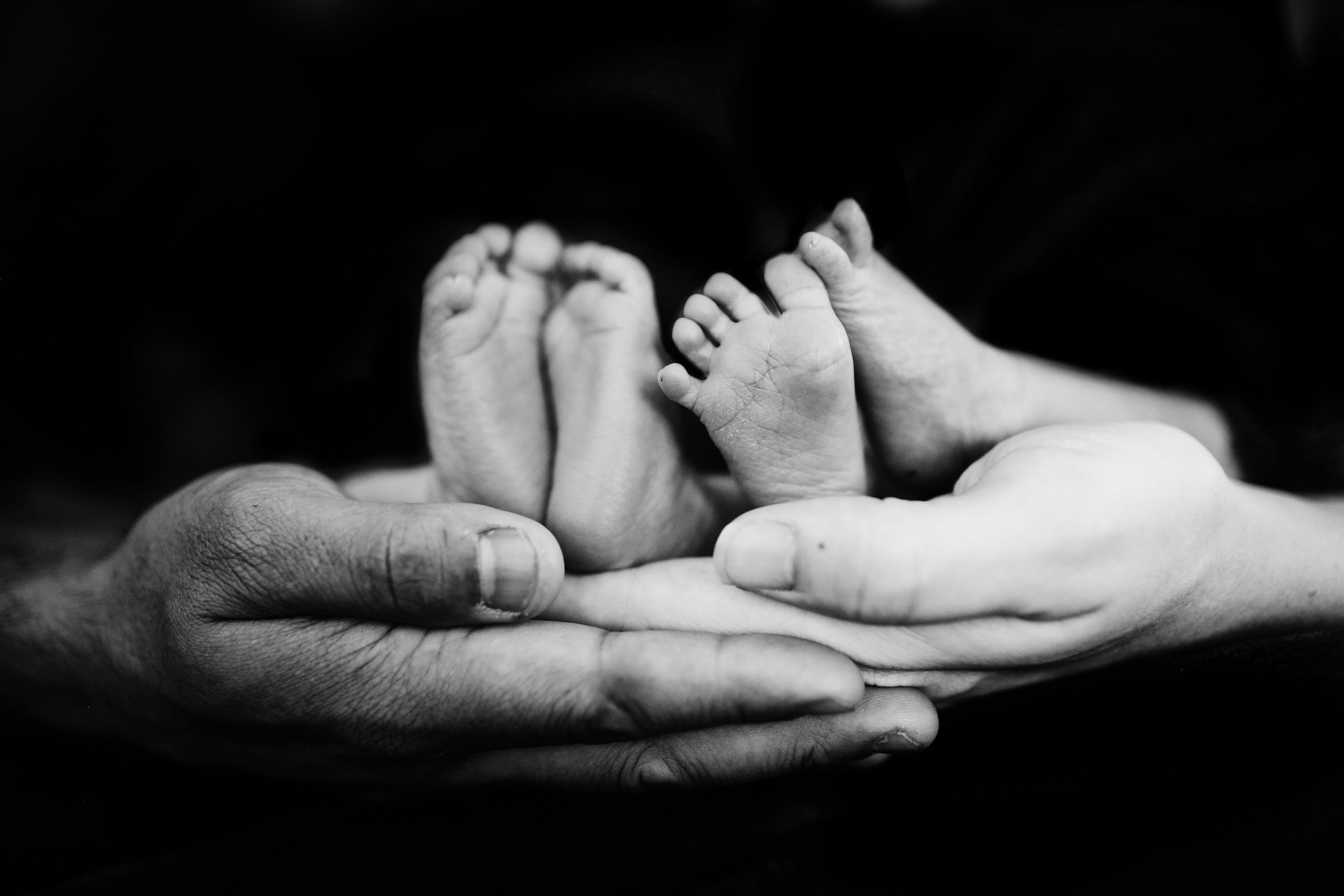 Tiny twins baby feet in held in their parents hands