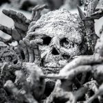 Stark black and white photograph of a bunch of decaying bones centered on a rotting skull.