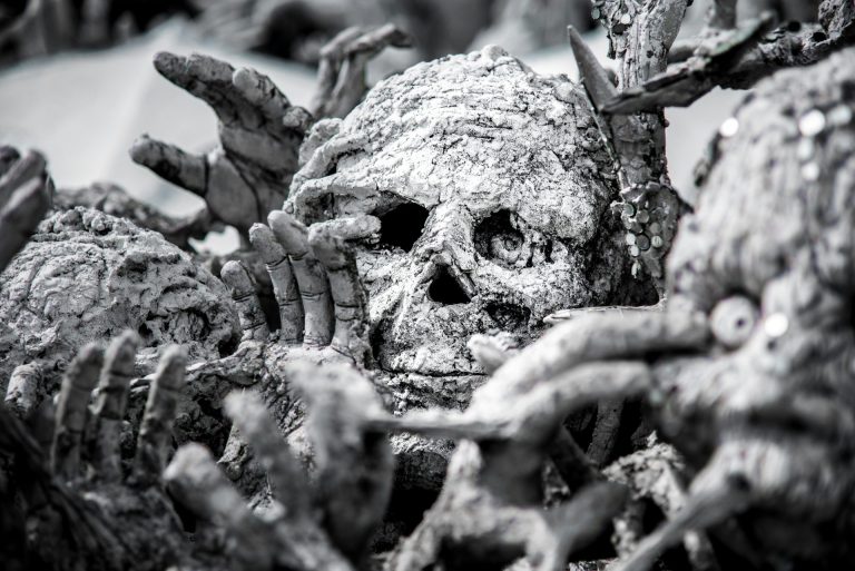 Stark black and white photograph of a bunch of decaying bones centered on a rotting skull.
