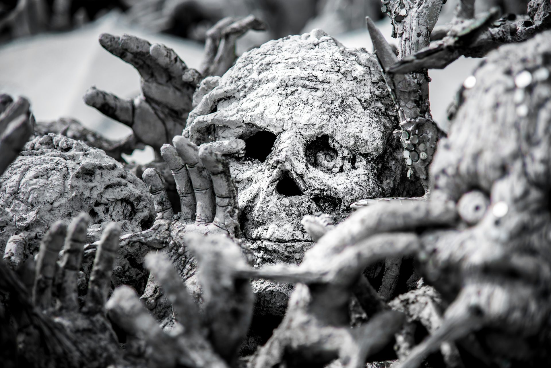 Stark black and white photograph of a bunch of decaying bones centered on a rotting skull.